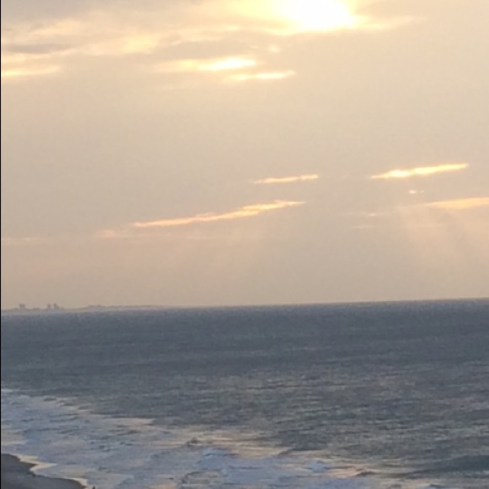 Meet your Posher, Dee